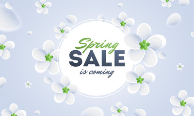 Advertising poster or banner design decorated with white flowers for Spring sale concept.