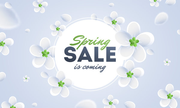 Advertising poster or banner design decorated with white flowers for Spring sale concept.