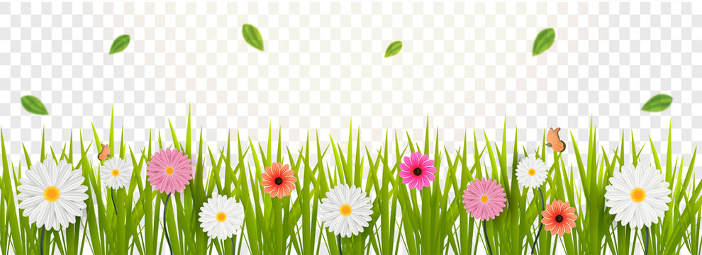 Spring Flowers Png Images – Browse 259,243 Stock Photos, Vectors, and Video  | Adobe Stock