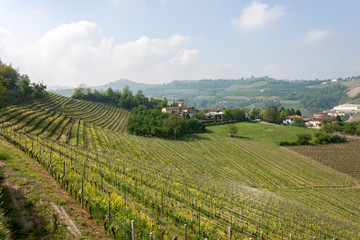 Fototapeta na wymiar Aerial view of the vineyards of Langhe, Piedmont.