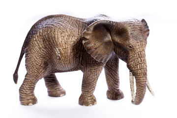 Fototapeta na wymiar Elephant model isolated on white background