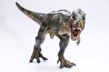 T-rex isolated on white background