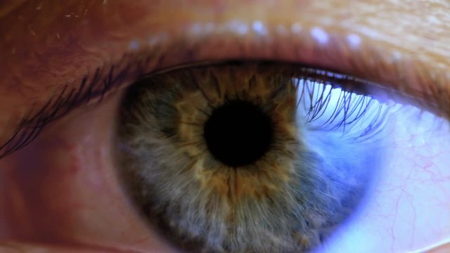 Human eye iris contracting. Extreme close up.