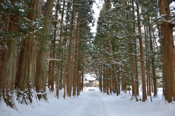 Fototapeta premium Cold Winter In Tono, Japan