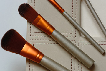 Basic makeup brushes on beige background. Set of professional cosmetic brushe. Top view point, flat lay. Copy space