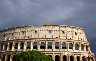 Fototapeta na wymiar le Colisée a Rome