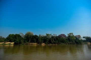 River landscape  and jungle,Pantanal, Brazil