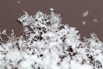 White snowflakes on nature as a background
