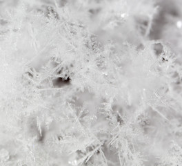 White snowflakes on nature as a background