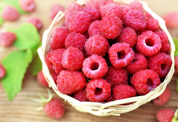 Basket of fresh ripe sweet raspberries, pile of summer harvested berries, selective focus