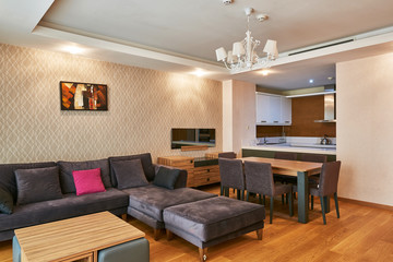 Living room interior with sofa and table