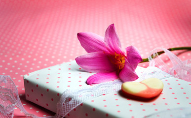 Fototapeta na wymiar Pink lily flower and a present box