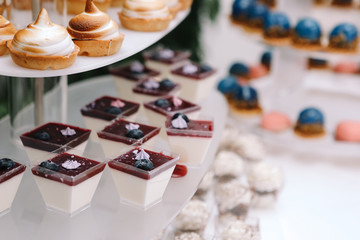 Candy bar, contains fruits, cup cakes, chocolate and another sweet desserts on the wedding. Banquet service. Catering buffet style .