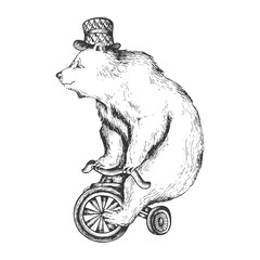 Circus bear on bicycle sketch engraving vector illustration. Scratch board style imitation. Hand drawn image.
