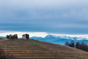 Cold misty morning in the vineyards of Italy