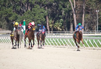 Horse Racing Out of the Turn