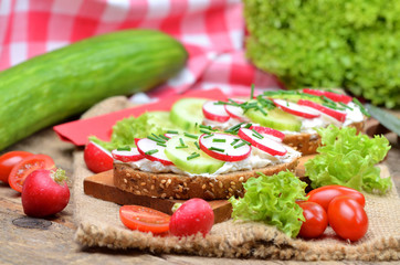 Close-up of grain bread with curd cheese, fresh radish, cucumber and tomatoes on a wooden cutting board - concept of healthy fitness breakfast or snack, salad and whole cucumber in background