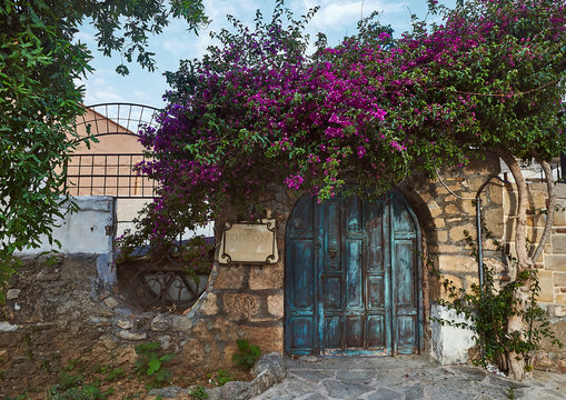 Mediterranean old hystorical city views Side Turkey blooming begonville