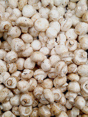 Background of fresh whole mushrooms, healthy food 