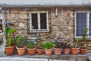 Fototapeta na wymiar Geranium at clay pots on small street Mediterranean region