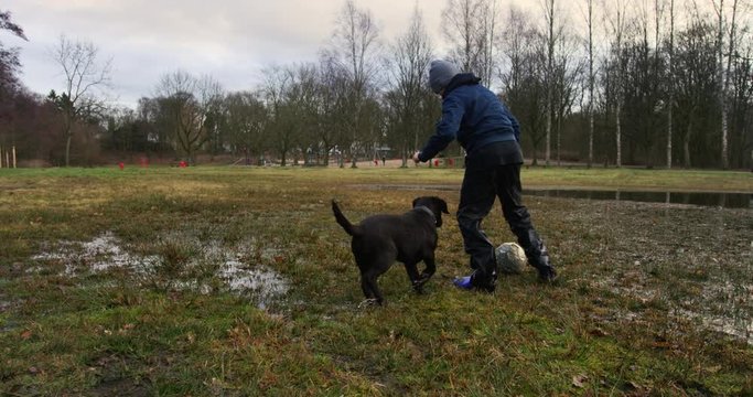Playful scene of a child playing football with a young dog