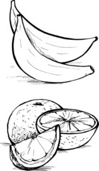 Banany i pomarańcze rysunek wektor © dezmi