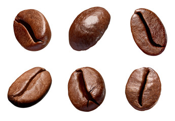 coffee bean brown roasted caffeine espresso seed