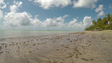 Beautiful empty beach