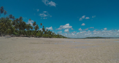 Fototapeta na wymiar Sand, water, palm trees on a tropical beach