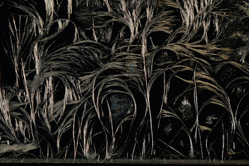 The acetylsalicylic acid crystals. Photomicrograph