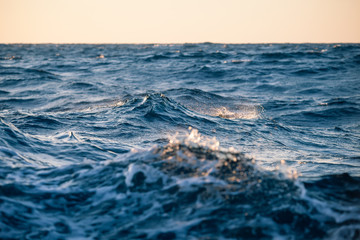 Large sea waves at sunset close up in a strong wind