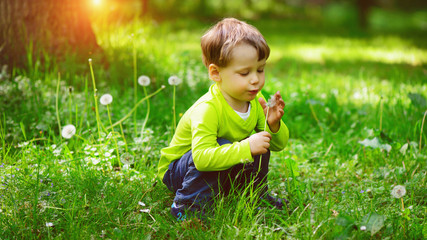 Little boy blows down dandelion fluff. Making a wish