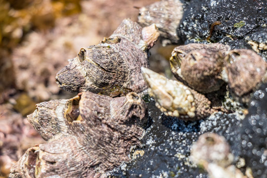 「外海府」の画像 37,124 件の Stock 写真、ベクターおよびビデオ Adobe Stock