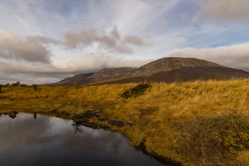 Pond with sky and cloud reflections