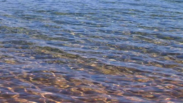 Lake Sandy Shallows