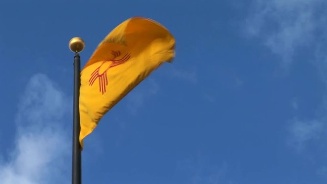 New Mexico Flag