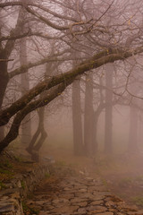 winter in gran canaria, spain
