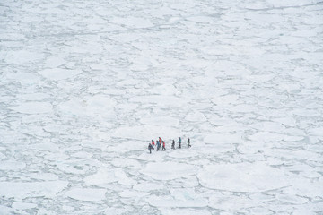 冬の知床　流氷ウォーク　オホーツク海の流氷の上を歩くアクティビティ（北海道・斜里町・ウトロ）
