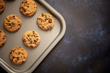 Chocolate chip cookies on a baking tray, taken with copy space