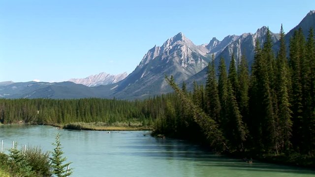 Bow River-Pines-Mountains-ws-zoom