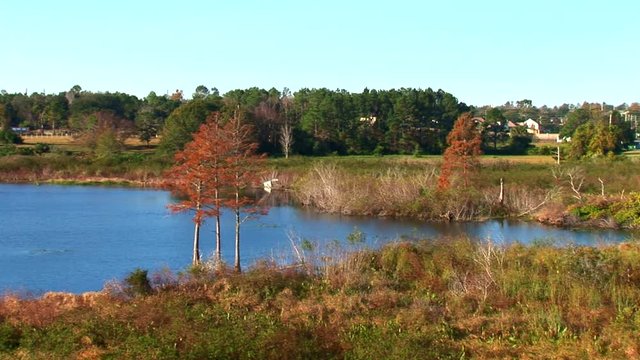 Orlando Lake-ws