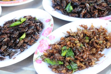 fried insects is delicious at street food