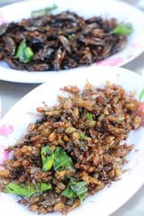 fried insects is delicious at street food