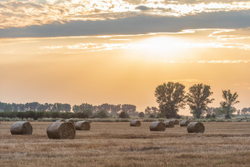 Hay bale. Agriculture field with cloudy sunset. Rural nature in the farm land