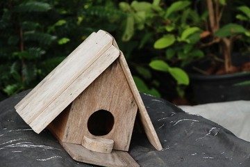 Wooden bird house with the nature