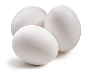 With egg isolated on white