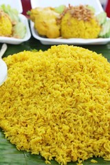 Chicken biryani with rice delicious and sauce