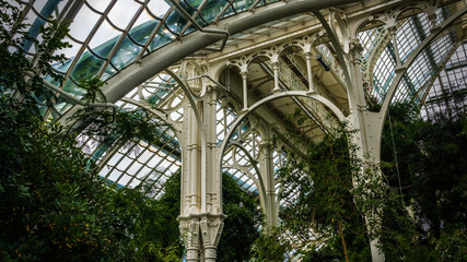 Innenaufnahme eines Gewächshauses im Jugendstil aus Stahl und Glas