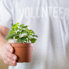 Eco friendly volunteering. Nature protection. Man holding nurtured green houseplant.
