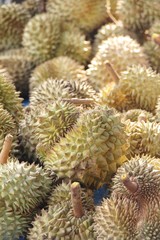 Naklejka na ściany i meble Durian fruit is delicious at street food